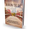 Bridging the Gap (eBook)
